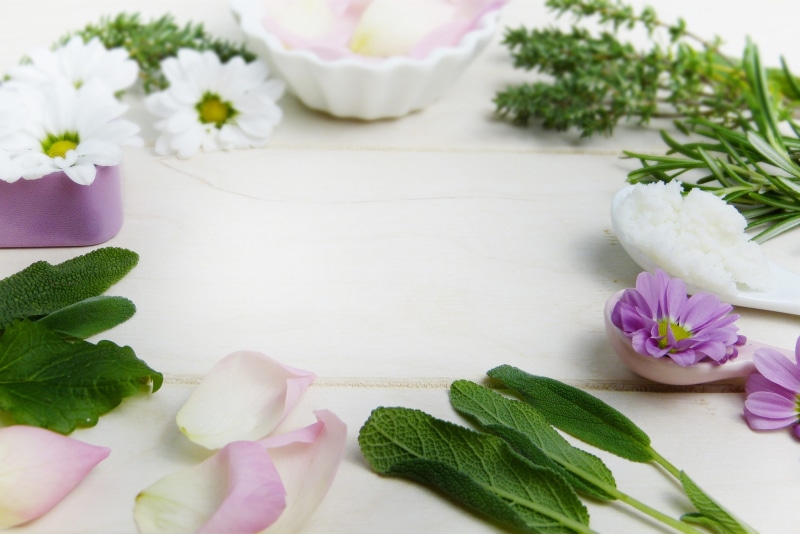 phytotherapy, puberty, flowering plant, self-made, plant, coconut oil, petaled, skin care, nature, of course, rose, shea butter, flower head, surface, greeting card