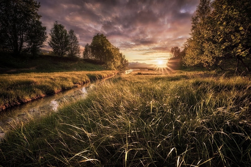 tree, landscape, clouds, beauty in nature, environment, growth, no people, 480P, trail, grass, brown, outdoors, trees, Norway, river, wooden, sky, sunset