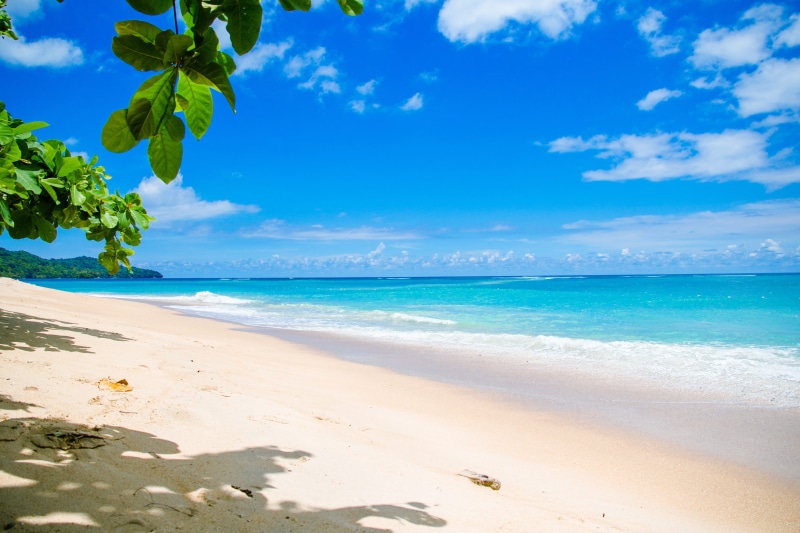 sunny, season, seascape, landscape, cumulus clouds, no people, plant, shore, horizon, sand, white, outdoors, sea, beach, background, ocean waves, turquoise colored