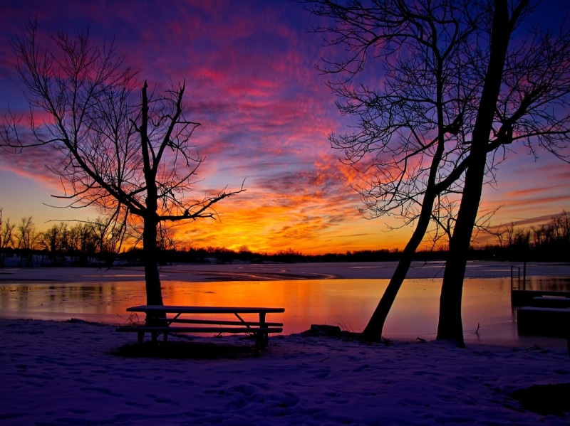 720P, silhouette, idyllic, house, winter, scenics - nature, beauty in nature, trees, snow, table, no people, wooden, plant, non-urban scene, sunset, black
