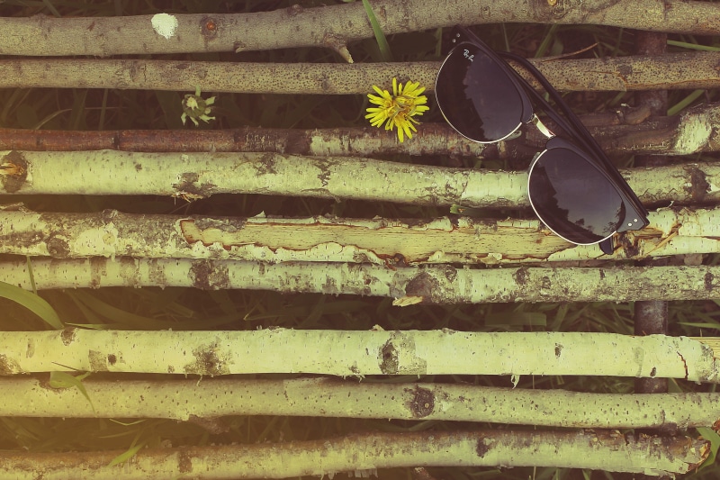 day, wooden, no people, backgrounds, wall, Ray-Ban, frame, personal accessory, framed, wayfarer, outdoors, 5K, textured, building exterior, pattern, branch