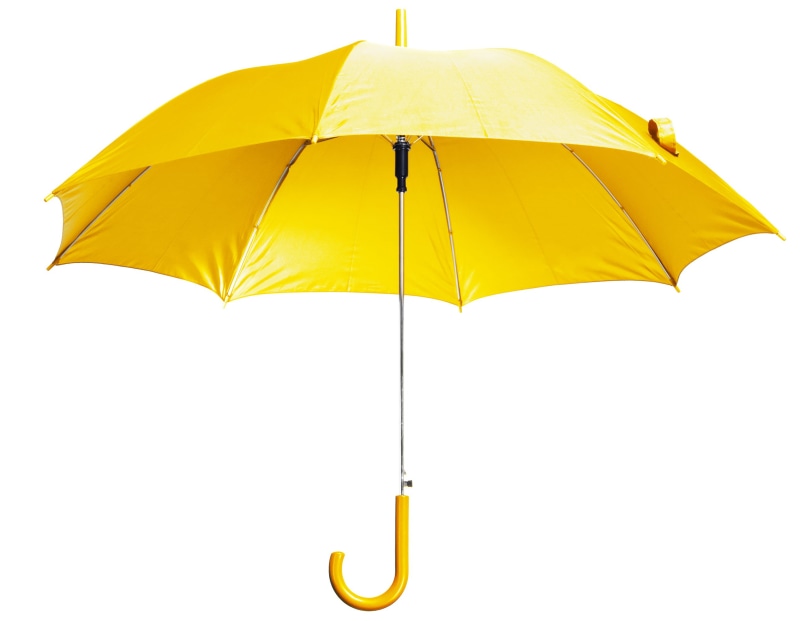protection, nature, overhead, outdoors, no people, concept, waterproof, water, cut, safety, wet, umbrella, environment, brolly, season, rain, dry, color