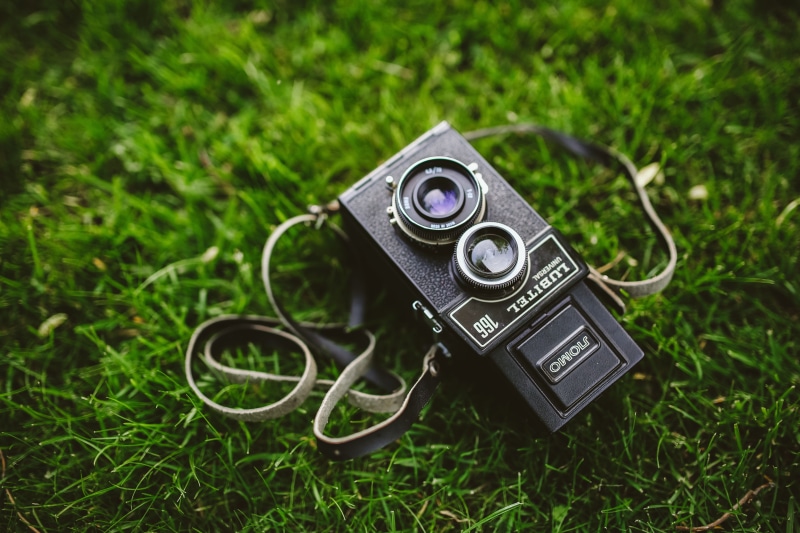 electrical equipment, plant, focus on foreground, green color, equipment, land, outdoors, metal, single Object, photography, close-up, black Color, camera - Photographic Equipment
