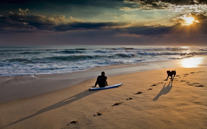 sunlight, motion, sea, 1080P, people, sand, land, horizon, sky, sunset, outdoors, dog, beach, waves, beauty in nature, cloud - sky, real people, horizon over water