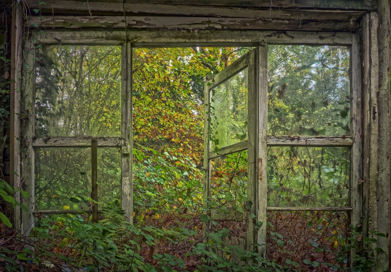 old building, horror, mystical, lapsed, winter garden, indoors, break up, abandoned, run down, green color, growth, surrounded, spooky, pforphoto, atmosphere