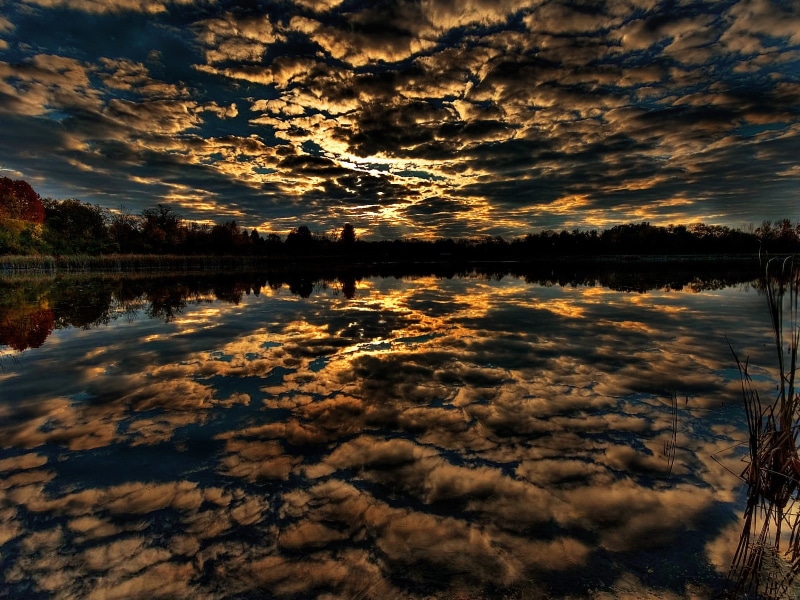 waterfront, landscape, plant, outdoors, tranquil scene, scenics - nature, orange color, no people, beauty in nature, ugly, nature, sunset, sky, cloud - sky