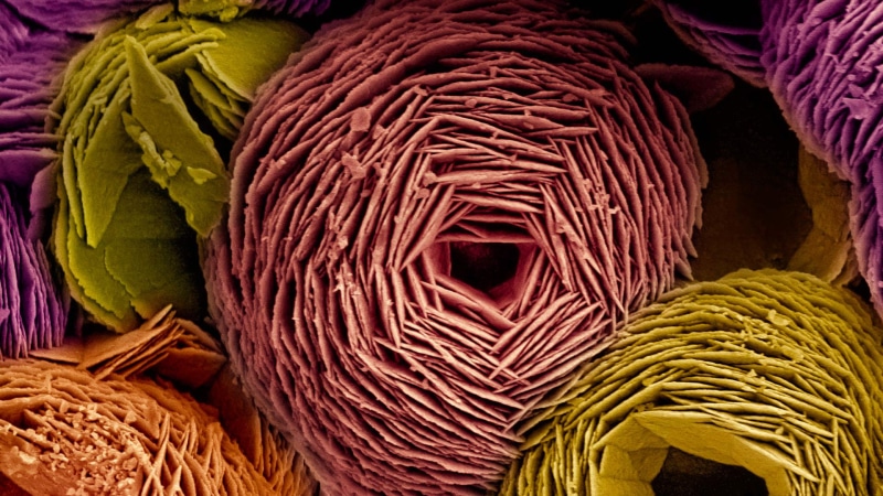 vaterite, carbonate, scanning electron microscope, 1080P, mineral