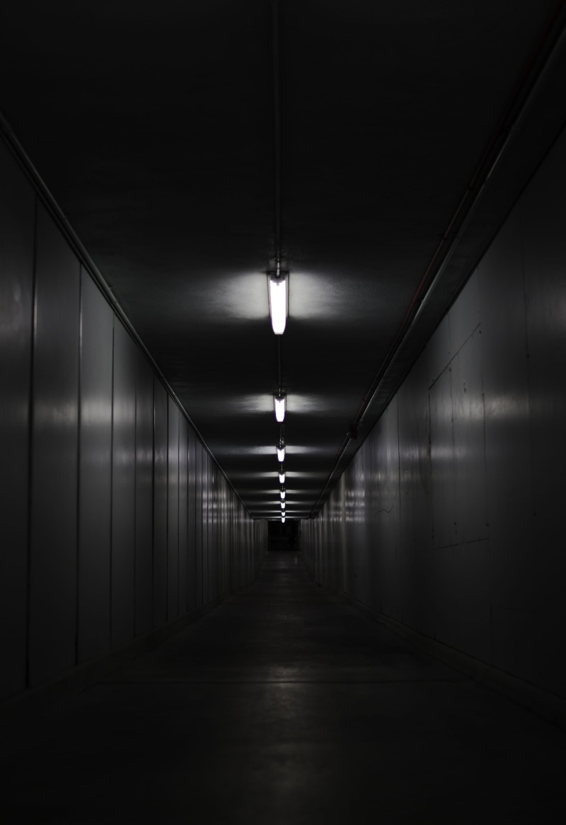 dark, long, electric light, light at the end of the tunnel, cat, forest, tunnel, happy, illuminated, colors, building, life, wall - building feature, underground walkway