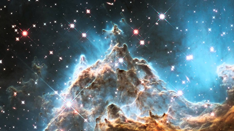 animal wildlife, photography, underwater, no people, Hubble, detail, sea, sea life, nature, illuminated, galaxy, outer, glowing, beauty in nature, 1080P