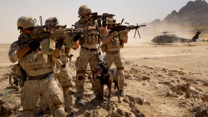 U.S. Army, holding, scopes, RSTA, M16 rifle, near, field, Mk 14, rifles, helicopter, four, ammunition, assault, army, black hawk, 4K, camo, soldiers, dog