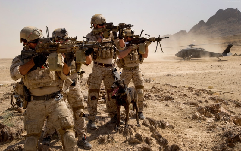standing, M16 rifle, weapon, RSTA, adult, aiming, uniform, special forces, rifle, U.S. Army, field, dog, real people, camo, outdoors, government, military