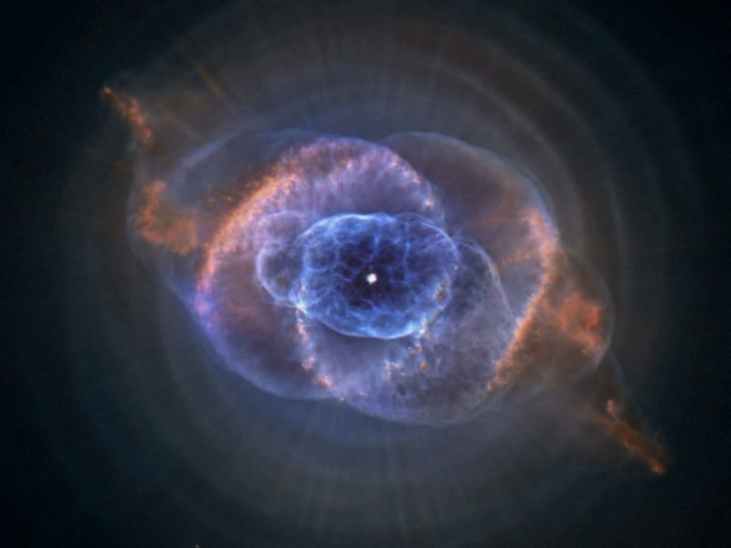 studio shot, cats eye nebula, jellyfish, indoors, close-up, brown, luminosity, animals in the wild, marine, night sky, nasa, animal, orange, black background