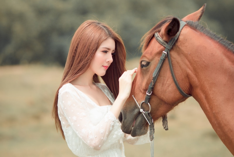 friendship, hands, horse, profile, white dress, sweetheart, 4K, weasel, brown hair, chestnut, girl, nature, long-haired, look, each, Asian, background