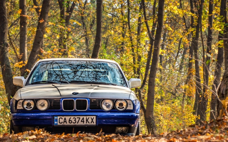 no people, nature, car, BMW E34, trunk, leaf, day, plant, autumn, land vehicle, motor vehicle, forest, outdoors, mode of transportation, transportation