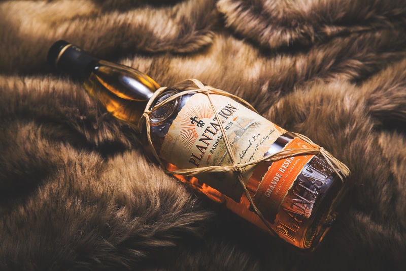 fur, close-up, domestic, drink, security, leather, glass, focus on foreground, mammal, 5K, amber, animal themes, creativity, life, protection, animal