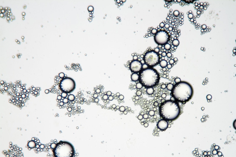 lather, shape, bubble, viewed, 2K, transparent, water, cleaning, pattern, lipid, froth, cleaner, white background, nature, fat, soap, close-up, oil, industrial