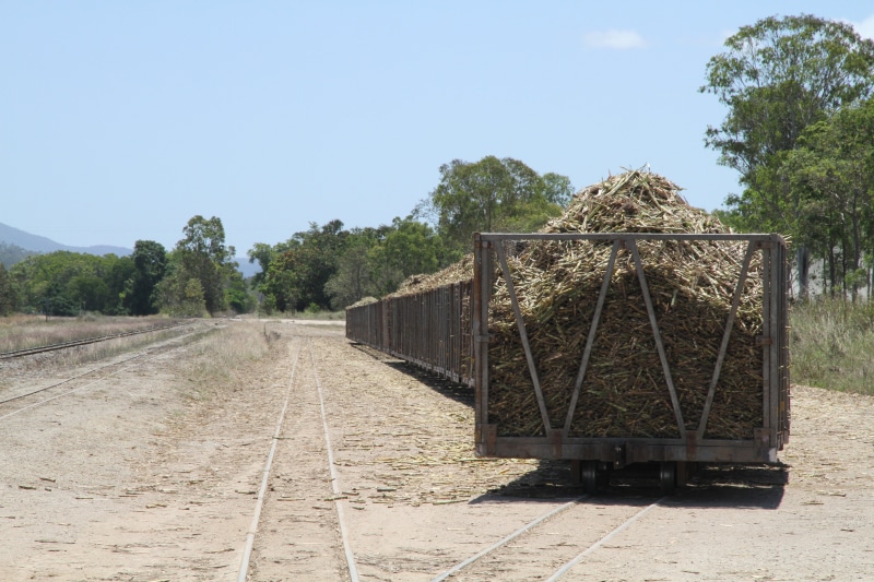 loneliness, garbage, gray, transportation, road, nature, outdoors, sky, gold coast, australia, railway, track, clear sky, sunlight, growth, the way forward