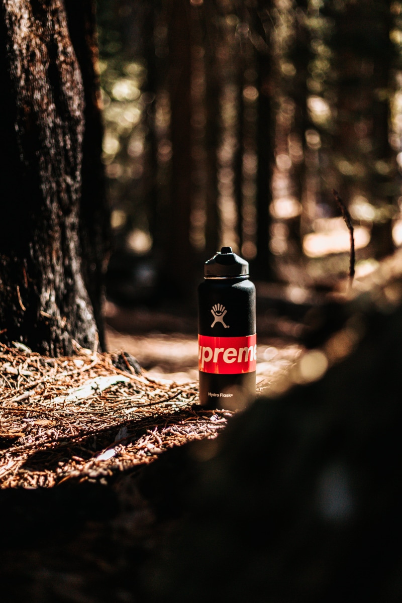 bottle, tree trunk, x, near, western script, forest, red, safety, flask, reusable, hydro, selective focus, sign, trunk, sports, 5K, ground, no people