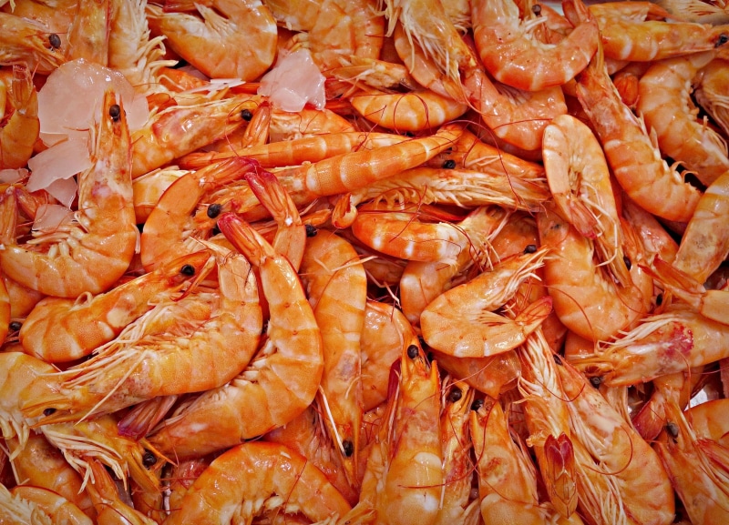 healthy eating, raw food, seafood, cooked, prawn, freshness, decapod crustaceans, large group of objects, market, nutrition, wellbeing, shrimp, animal