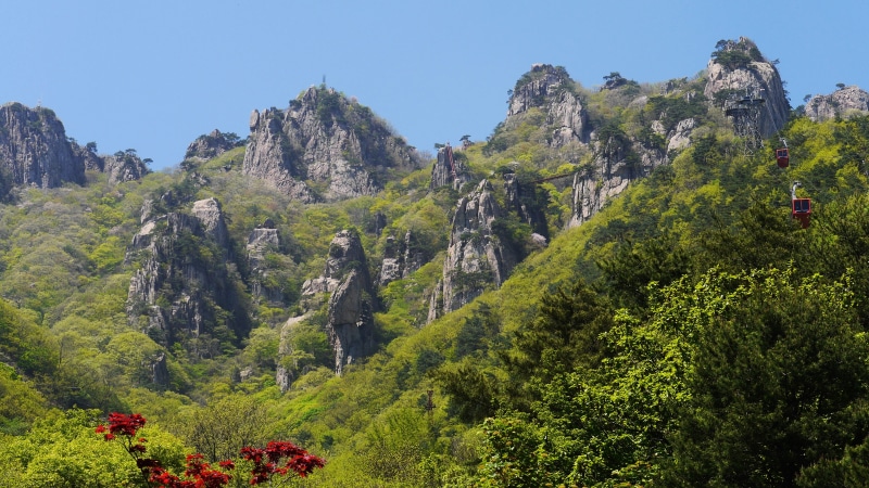 nature, day, mountain, lush foliage, scenics - nature, this type, daedunsan, plant, environment, pine woodland, green color, pine tree, land, wanju-gun