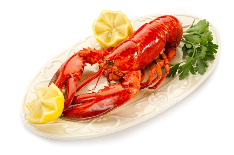 citrus fruit, indoors, isolated On White, claw, fruit, seafood, isolated, meal, food, boiled, cooking, no People, steamed, crayfish, cooked, sea, appetizer