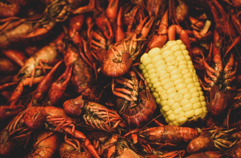 sea life, fruit, yellow, red, 5K, freshness, plant, full frame, abundance, sweetcorn, boiled corn, crawdad, day, focus on foreground, boiled crawfish