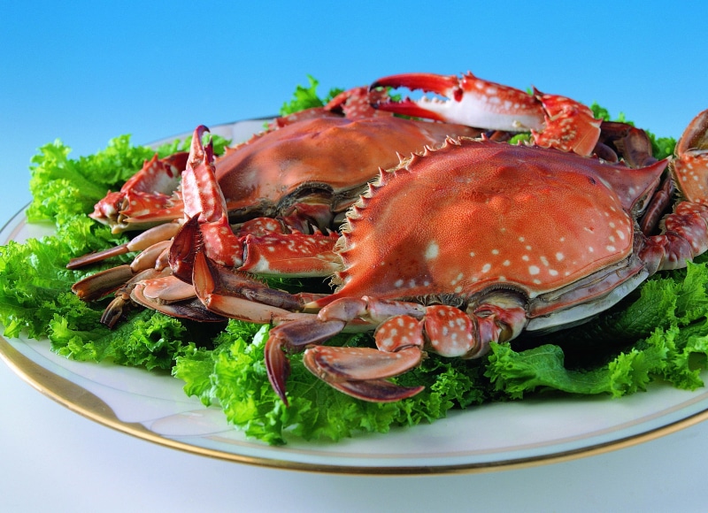 crab, plate, cooked, animal Shell, lunch, freshness, gourmet, sea, refreshment, cabbage, crockery, food, steamed, food And Drink, vegetable, two, animal