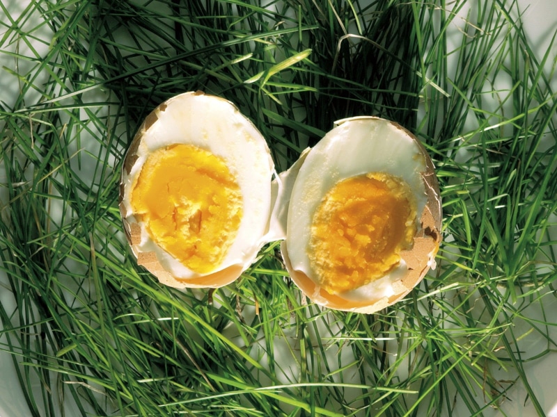 food and drink, herbs, egg, high angle view, outdoors, growth, still life, yellow, freshness, nature, food, no people, eggs, 720P, plant, wellbeing, green color