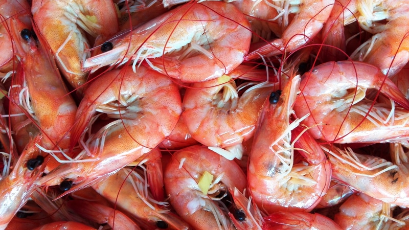 Boiled, Shrimp, 4K