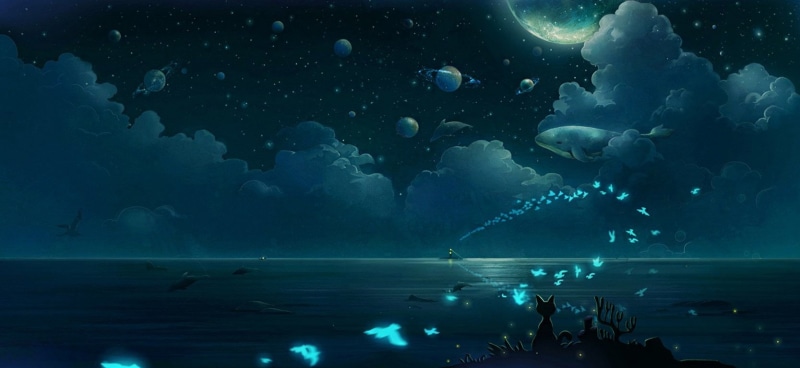 group of people, water, vertebrate, Moon, underwater, Anime, animals in captivity, sea, tank, swimming, Bird, Cat, group of animals, Ocean, Fish, animal wildlife