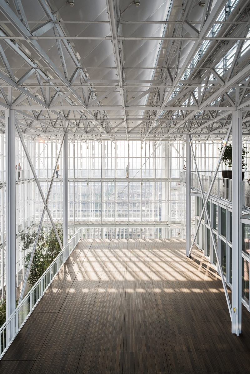 wood - material, floor, flooring, ceiling, xpro, roof beam, handrail, wood, metal, sunlight, standing, banister, indoors, tower, railing, indoor, inside