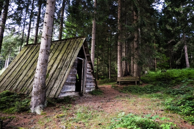 log burning, woods, tree, wood, growth, architecture, trunk, tranquility, tranquil scene, sankt martin, beauty, woodland, explore, tree trunk, forest, grass