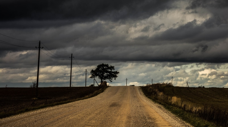 dirt road, outdoors, the way forward, scenics - nature, field, dirt, storm cloud, sky, plant, environment, tree, landscape, storm, nature, gritty, dark