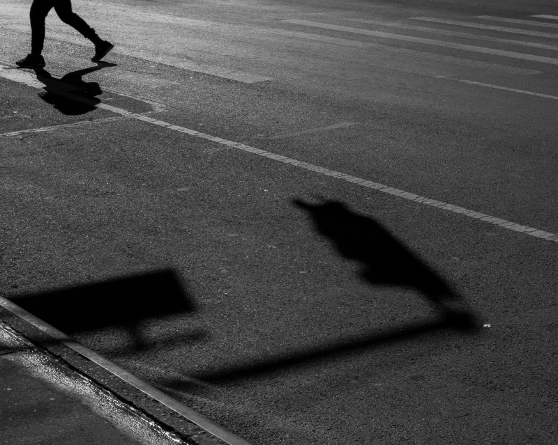 apparel, one person, 4K, human limb, low section, outdoors, concrete, footwear, new york, human, usa, street, silhouette, pet owner, asphalt, shadow, men