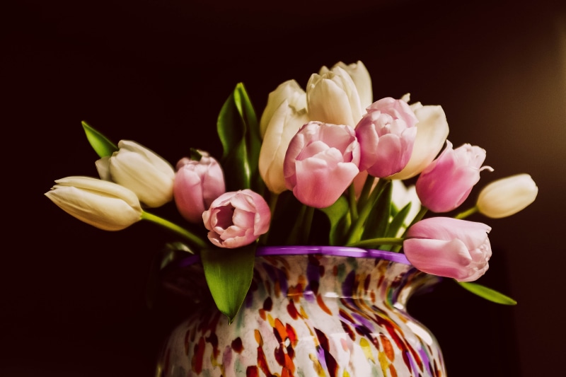 flowers, bouquet, home, flower, tulips, focus, selective, 5K, tulip, nature, plant, petal, springtime, selective focus, Fujifilm, vase, pink Color