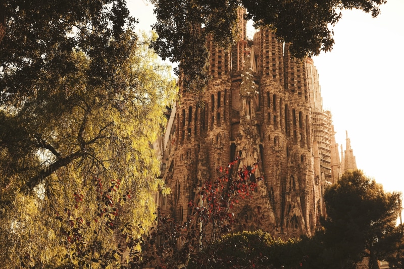 belief, architecture, fujifilm, sun, barcelona, plant, spire, nature, place of worship, history, sagrada familia, espana, xt10, spain, 4K, religion, building
