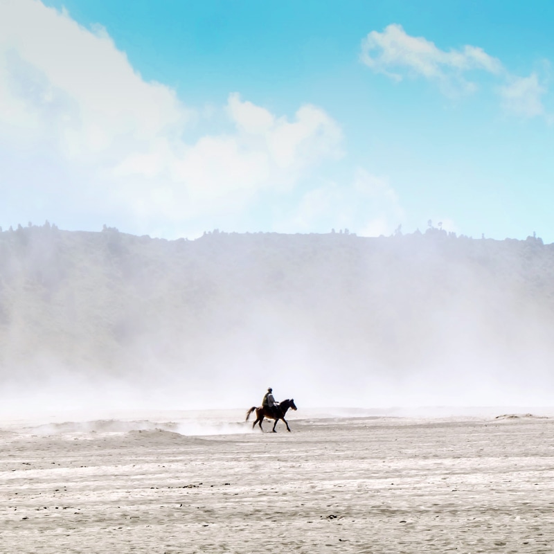 mammal, animal wildlife, nature, mount bromo, land, domestic, cloud - sky, day, feeling small, fujifeedxunsplash, water, sky, one animal, vertebrate, real people