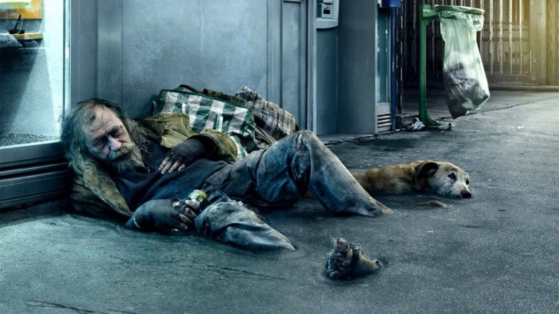 blue, dog, photo manipulation, dirt, jeans, canine, lying on side, homeless, resting, day, men, old people, lying down, sleeping, domestic, relaxation