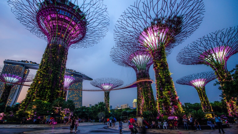 built structure, structure, street, purple, landmark, women, nature, illuminated, architecture, modern, outdoor, city, futuristic, large group of people