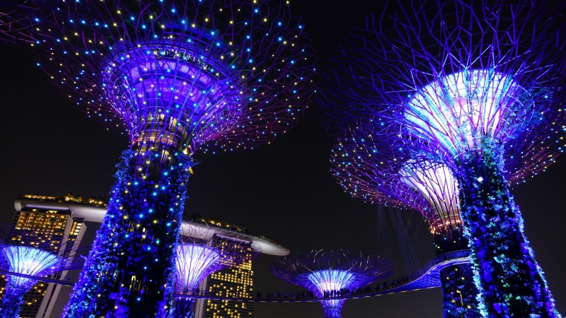 5K, building exterior, marina, glowing, celebration, structure, christmas, decoration, lights, attraction, trees, futuristic, event, Singapore, supertree