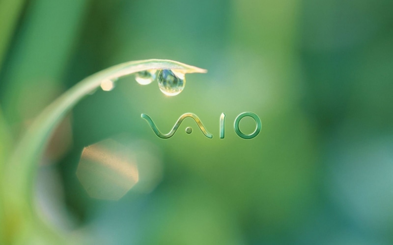 positive emotion, focus on foreground, green color, shape, vulnerability, close-up, no people, 1080P, day, plant part, Drops, plant, nature, outdoors