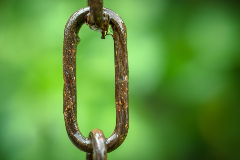 plant, branch, green color, wet, security, hook, chain, iron, corrosion, drip, hanging, stainless, safety, connection, close-up, no people, outdoors, protection