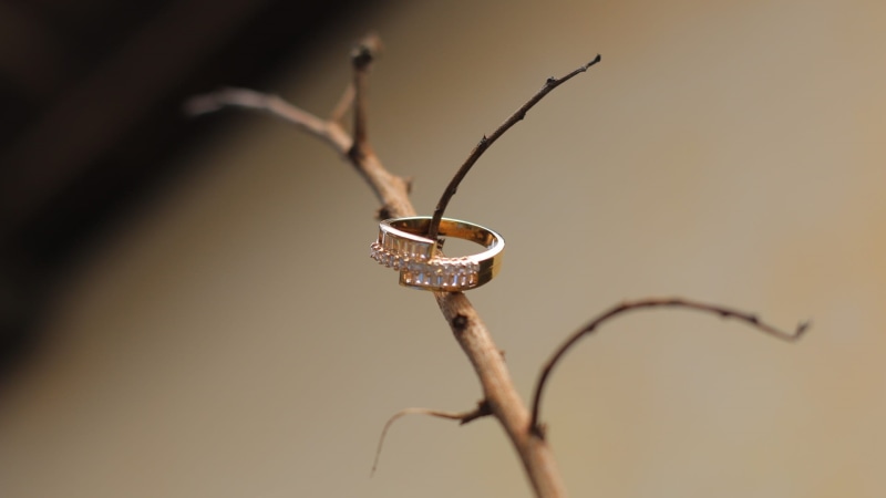 ring, 1080P, plant part, nature, jewelry, alliance, dead plant, macro, tree, outdoors, plant stem, branch, drop, selective focus, no people, marriage