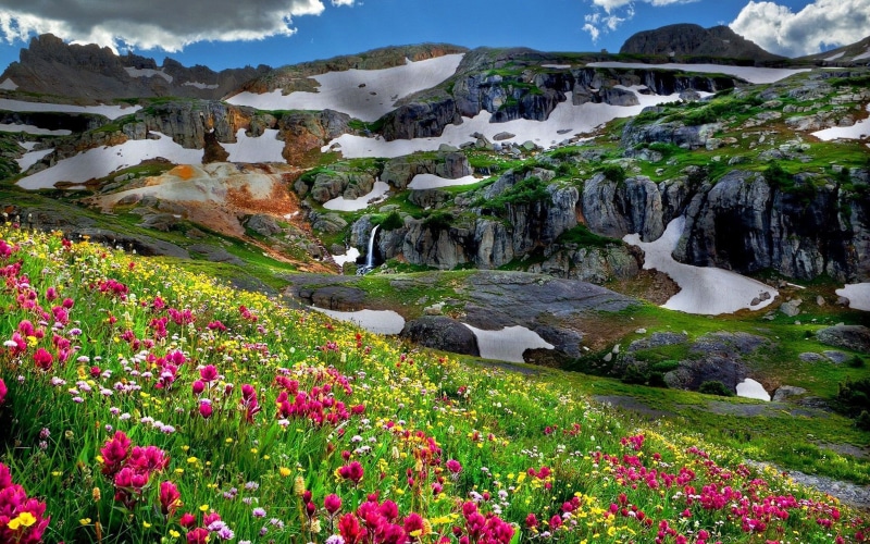 outdoors, spring, land, tranquility, mountainous, plant, beauty in nature, rocks, scenics - nature, flowers, rock - object, mountain, flowering plant, beautiful