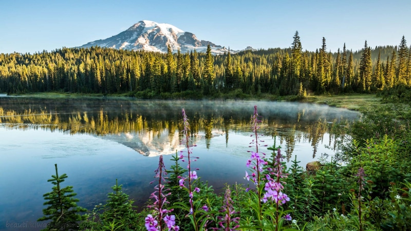 no people, day, nature, forest, idyllic, landscape, mountain, reflection lake, resolution, tranquility, evaporation, non-urban scene, hd, remote