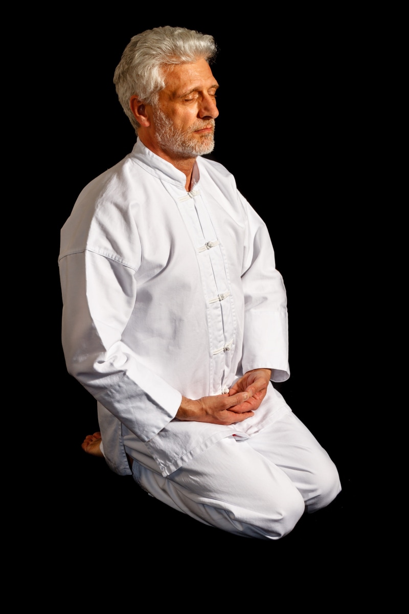 peaceful, meditation, one person, religion, occupation, profile view, asia, mature men, looking, standing, cut out, males, man, indoors, three quarter length