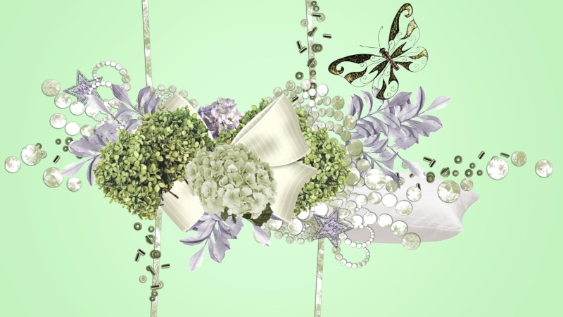coins, hydrangea, butterfly, butterflies, hydrangia, vines, beauty, diamond, sequins, flowers, ribbon, silver, floral, 3d and abstract, firefox persona