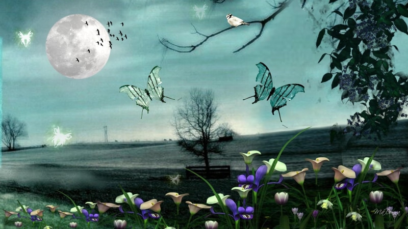 1080P, field, magical, butterfly, papillon, butterflies, trees, gate, night, country, fleurs, moon, pinting, full moon, flowers, birds, cattle