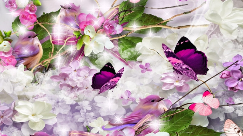 butterfly, lilac, papillon, glitter, frangipani, stars, illustration, purple, butterflies, bird, 1080P, lilacs, flowers, black, glitz, plumeria