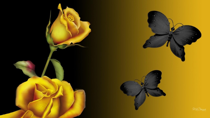 1080P, butterflies, golden, flowers, butterfly, black, romantic, sophisticated, roses, exotic, blooms, yellow, blossoms, gold roses, dramatic